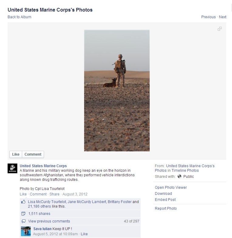 MWD USMC FB 20120805